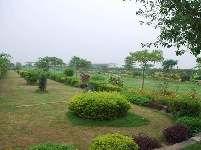 Residential Plot 100 Sq. Yards for Sale in