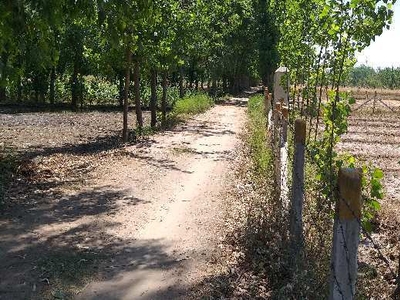 Residential Plot 100 Sq.ft. for Sale in Biharigarh, Saharanpur