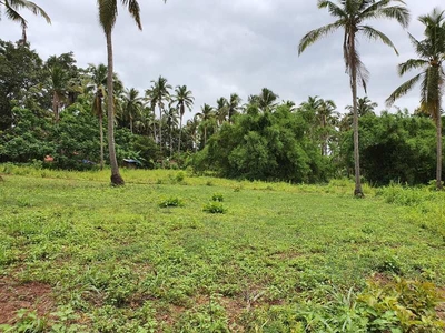 Residential Plot 1000 Sq. Meter for Sale in Benaulim, Goa