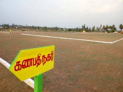 Residential Plot 1000 Sq.ft. for Sale in Narasothipatti, Salem