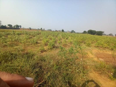 Industrial Land 108 Acre for Sale in Silani Gate, Jhajjar