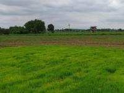 Agricultural Land 120 Acre for Sale in