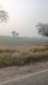 Agricultural Land 13 Acre for Sale in Sohna Palwal Road, Gurgaon