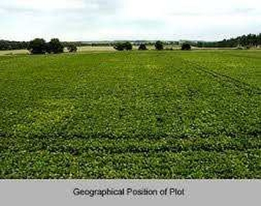 Agricultural Land 130 Bigha for Sale in