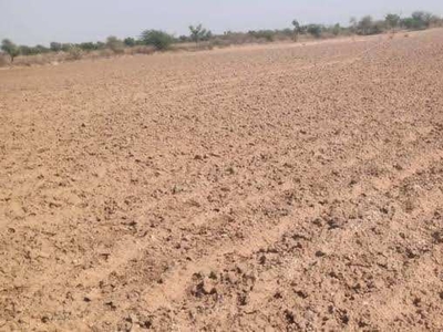 Agricultural Land 13630 Sq.ft. for Sale in Nigoha, Lucknow
