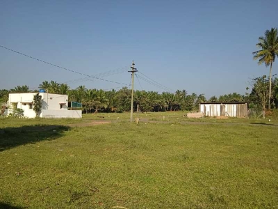 Residential Plot 1575 Sq.ft. for Sale in Mayileripalayam, Coimbatore