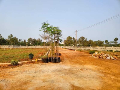 167 Sq. Yards Residential Plot for Sale in Jonnada, Visakhapatnam