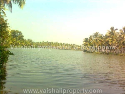 18 Cent Residential Plot for Sale in Quilandy, Kozhikode