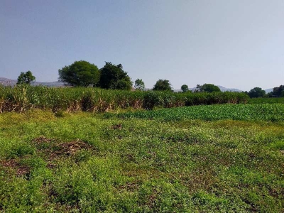 Agricultural Land 2 Acre for Sale in