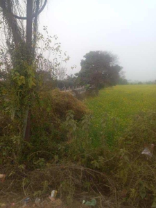Commercial Land 2 Acre for Sale in Palwal, Faridabad