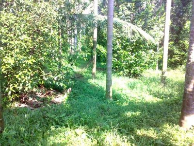 Residential Plot 2 Acre for Sale in Perumbavoor, Kochi