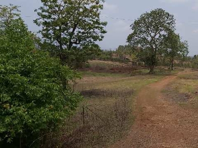 Agricultural Land 20 Acre for Sale in Roha, Raigad