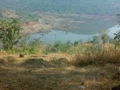 Agricultural Land 20 Acre for Sale in Sangameshwar, Ratnagiri