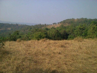 Agricultural Land 20 Acre for Sale in Sangameshwar, Ratnagiri
