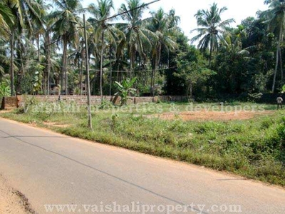 20 Cent Residential Plot for Sale in Eranhipalam, Kozhikode