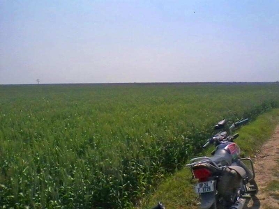 Agricultural Land 200 Acre for Sale in Saidpur Budaun