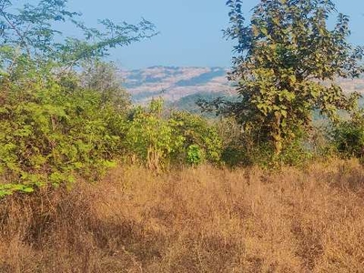 Agricultural Land 20000 Sq.ft. for Sale in Pali, Raigad
