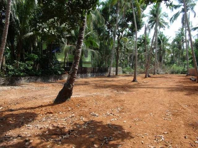 22 Cent Residential Plot for Sale in Eranhikkal, Kozhikode
