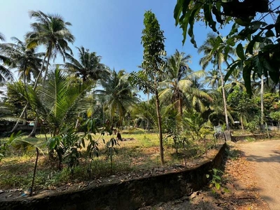 24 Cent Residential Plot for Sale in Kunnamkulam, Thrissur