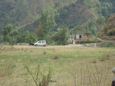 Commercial Land 27 Bigha for Sale in Kandaghat, Shimla