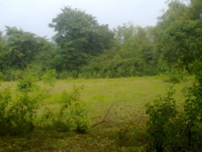 Agricultural Land 27 Guntha for Sale in Ankola, Uttara Kannada