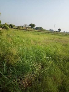 Residential Plot 2700 Sq.ft. for Sale in Mullanpur, Mohali