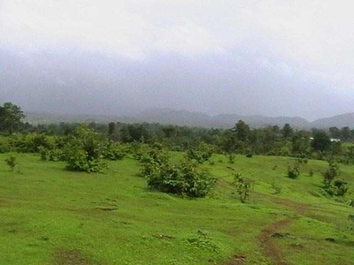 Residential Plot 3 Acre for Sale in Neral, Mumbai