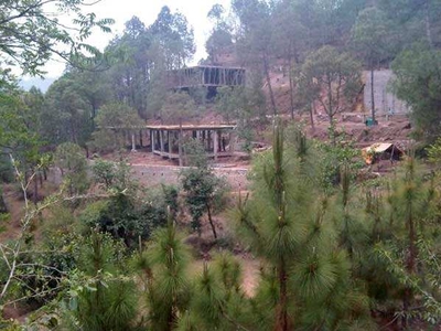 3 BHK House 350 Sq. Yards for Sale in Kasauli, Solan