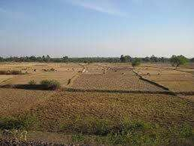 Commercial Land 30 Acre for Sale in Israna, Panipat