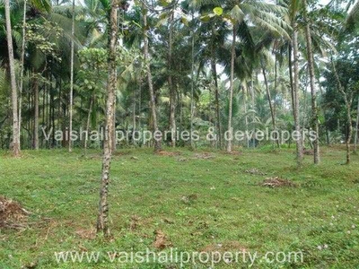 30 Cent Commercial Land for Sale in West Hill, Kozhikode