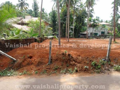 30 Cent Residential Plot for Sale in Chevayur, Kozhikode