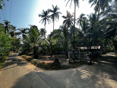 310000 Cent Residential Plot for Sale in Kunnamkulam, Thrissur