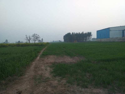 Industrial Land 32 Bigha for Sale in Nilpur, Rajpura