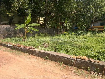3488 Sq.ft. Residential Plot for Sale in Bilathikkulam, Kozhikode