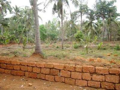 35 Acre Residential Plot for Sale in Areekkad, Kozhikode
