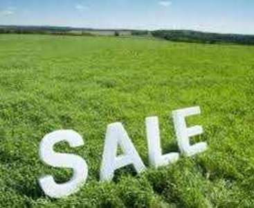 Residential Plot 36 Acre for Sale in Khedi Road, Faridabad