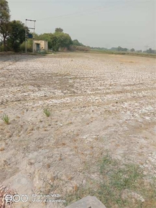 Agricultural Land 36 Bigha for Sale in Raniganj, Bardhaman