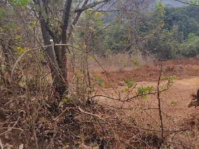 Agricultural Land 4 Ares for Sale in Mavel, Pune