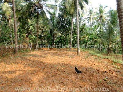 40 Cent Residential Plot for Sale in Eranhipalam, Kozhikode