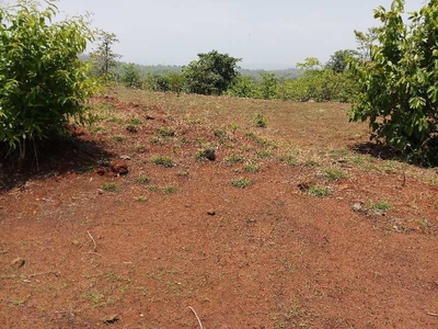 Agricultural Land 45 Acre for Sale in Roha, Raigad