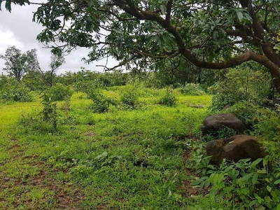 Agricultural Land 5 Acre for Sale in Mhasla, Raigad