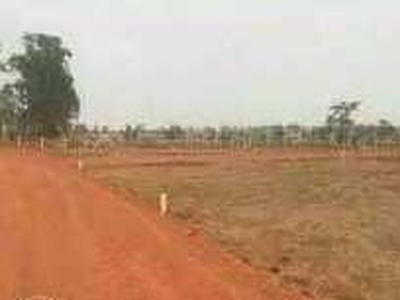 Agricultural Land 5 Acre for Sale in Narkhed, Nagpur
