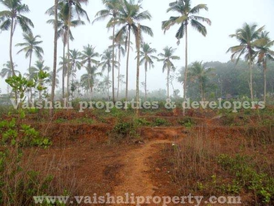 5 Acre Residential Plot for Sale in Eranhipalam, Kozhikode
