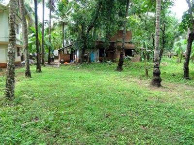 Residential Plot 5 Cent for Sale in Mokavoor, Kozhikode