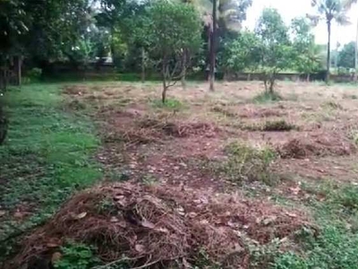 Residential Plot 54 Cent for Sale in Angamali, Kochi
