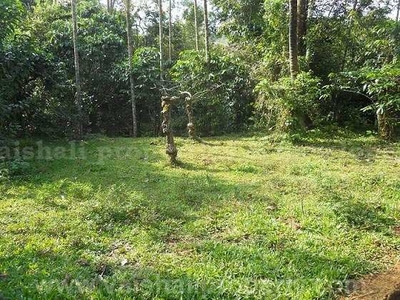 6 Cent Residential Plot for Sale in Vythiri, Wayanad
