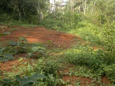 Commercial Land 60 Cent for Sale in Mavoor, Kozhikode