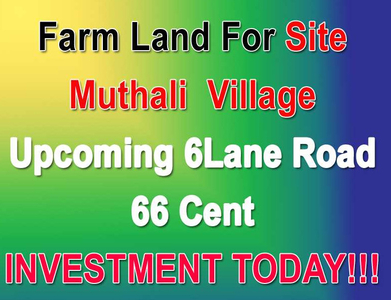 Agricultural Land 66 Cent for Sale in Sipcot Phase II, Hosur