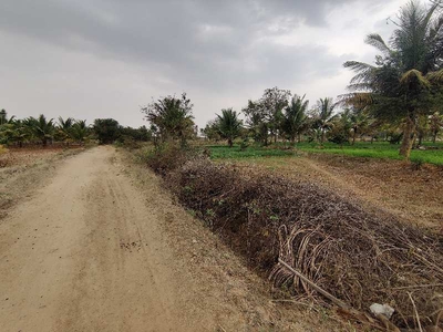Agricultural Land 7 Acre for Sale in Sira, Tumkur
