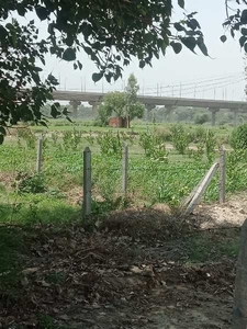 Agricultural Land 7 Acre for Sale in Tigaon, Faridabad
